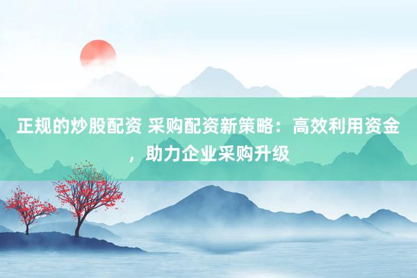 正规的炒股配资 采购配资新策略：高效利用资金，助力企业采购升级