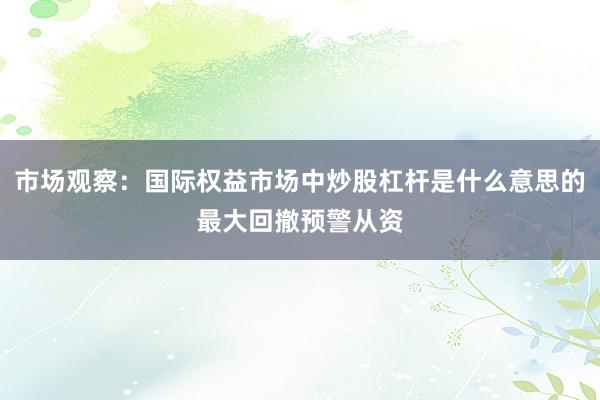 市场观察：国际权益市场中炒股杠杆是什么意思的最大回撤预警从资